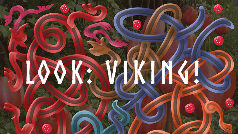 First blog on Look: Viking!